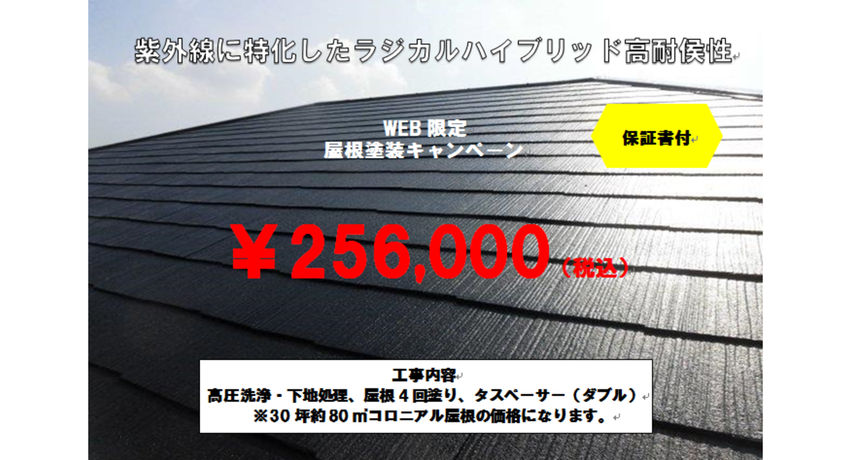パック料金