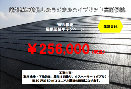 パック料金